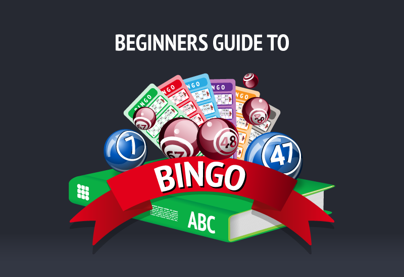 beginners-guide-to-bingo-title