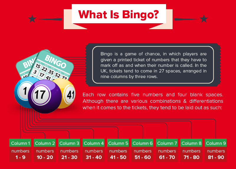 what-is-bingo