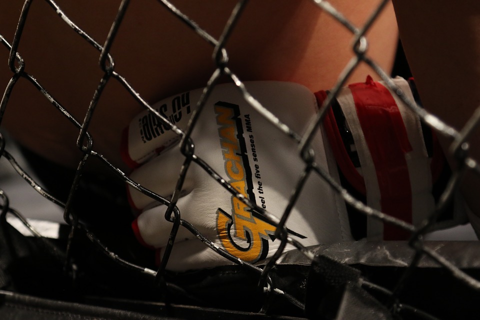 MMA Fighting Glove Closeup Inside The Octagon