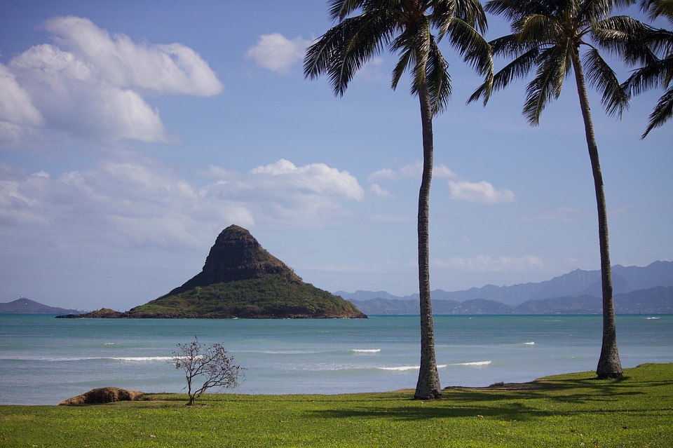 Tonga island view, with sea & palm trees